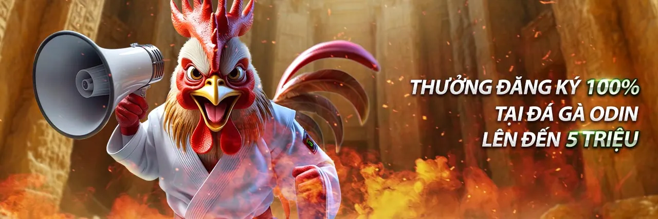 Chương trình VIP 6vin