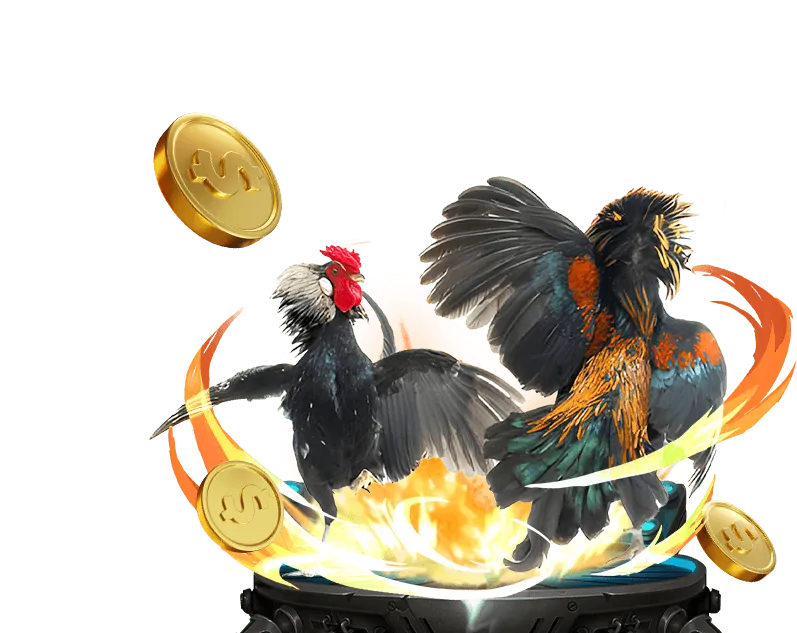 Quy Trình Rút Tiền tại 6vin