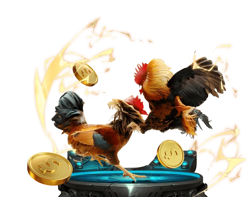 Các chương trình khuyến mãi 6vin